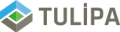 Tulipa Tohum