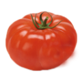 Domates Fidesi