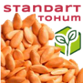 Standart Tohumlar