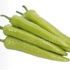 Safkan F1 Çarli Biber Fidesi