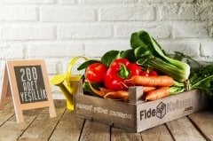 200'Lük Yeşillik Hobi Fide Kutusu