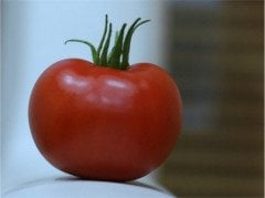 Alyanak F1 Sırık Domates Fidesi