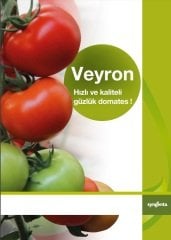 Veyron F1 Sırık Domates Fidesi