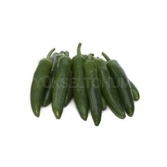 Yetkin F1 Acı Jalepone Biber Fidesi