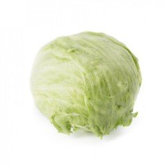 Patagonia Rz İceberg Marul Fidesi