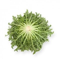 Galanti Rz Endivyen Marul Fidesi