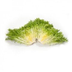 Korbi Rz Endivyen Marul Fidesi