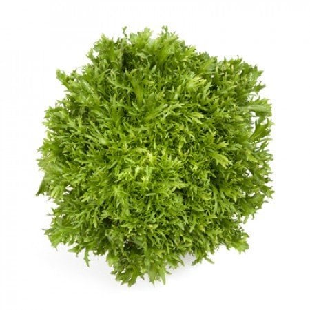 Korbi Rz Endivyen Marul Fidesi