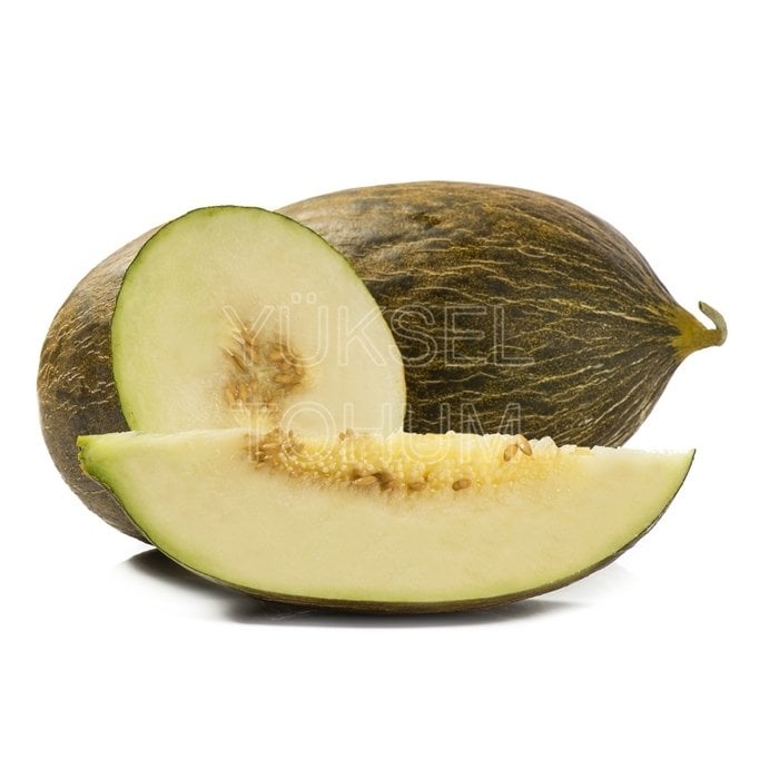 Kallavi F1 Kavun Fidesi