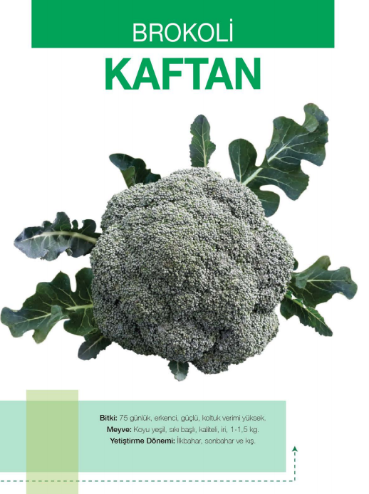 Kaftan F1 Brokoli Fidesi