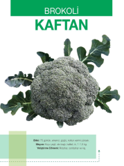 Kaftan F1 Brokoli Fidesi