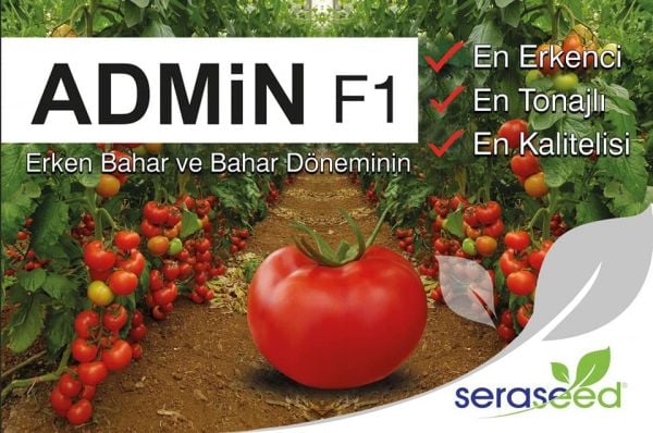 Admin F1 Sırık Domates Fidesi
