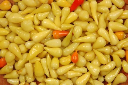 Top Cin Biber Fidesi