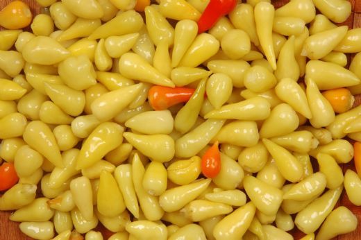 Cin Biber Top Fidesi