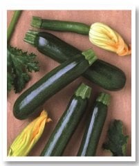 Karagül Siyah Kabak Tohumu