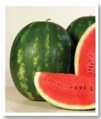 Crimson Sweet Karpuz Tohumu