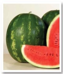 Karpuz Fidesi Crimson Sweet