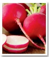 Antep Kırmızı İri Turp Tohumu