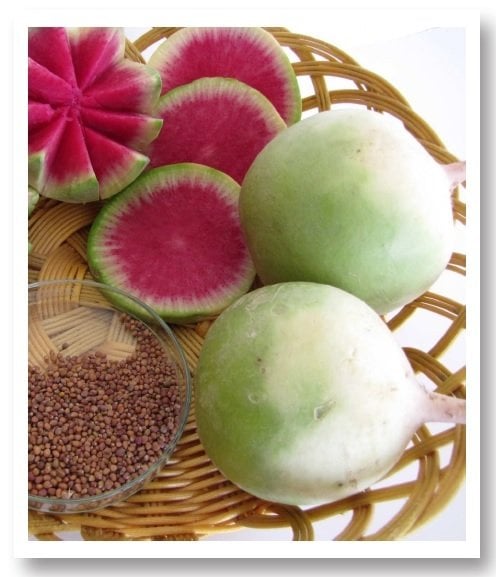 Çelebi Çin Turpu Tohumu