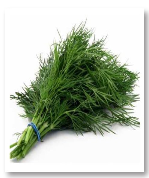 Ferah Dereotu Tohumu