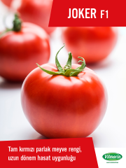 Joker F1 Oturak Domates Fidesi