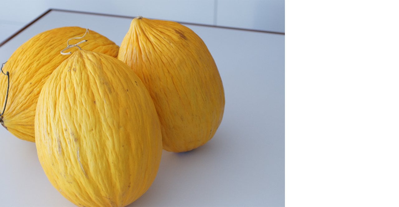 Davutbey F1 Sarı Kavun Fidesi