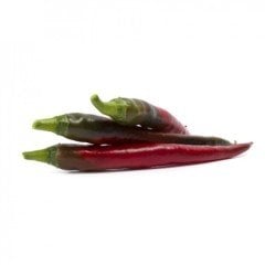 Habib RZ F1 Şili Biber Fidesi