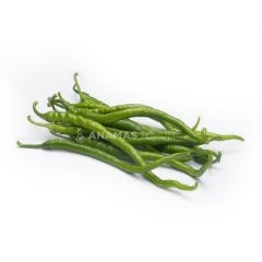 Kılçık F1 Tatlı Kıl Sivri Biber Fidesi