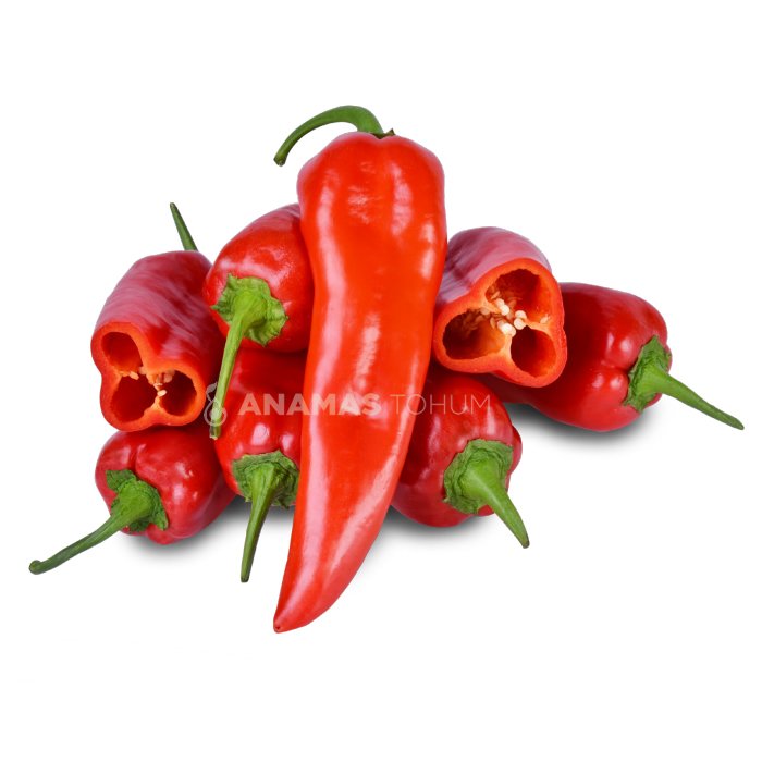 Kapya Biber Fidesi Yaren F1