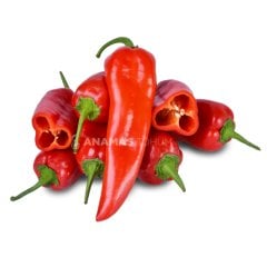 Yaren F1 Kapya Biber Fidesi