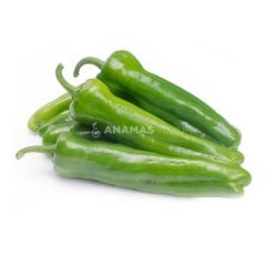 Turkuaz F1 Üçburun Biber Fidesi